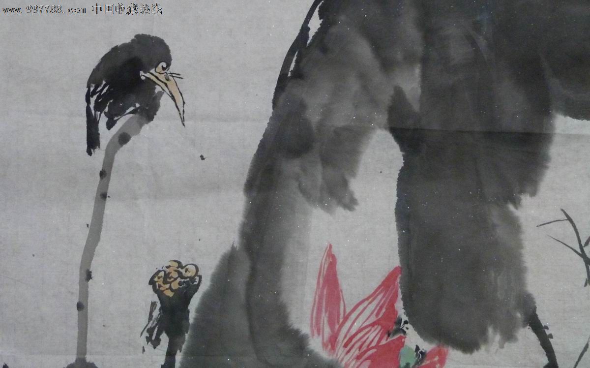 画荷花视频素描图片展示