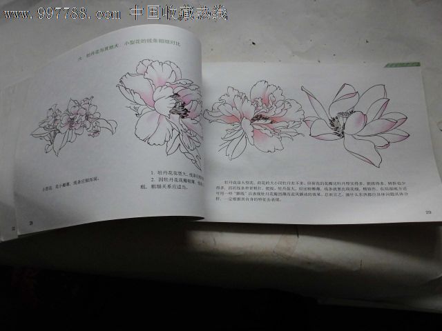 学国画--中国画技法普及教材(六)牡丹花表现技