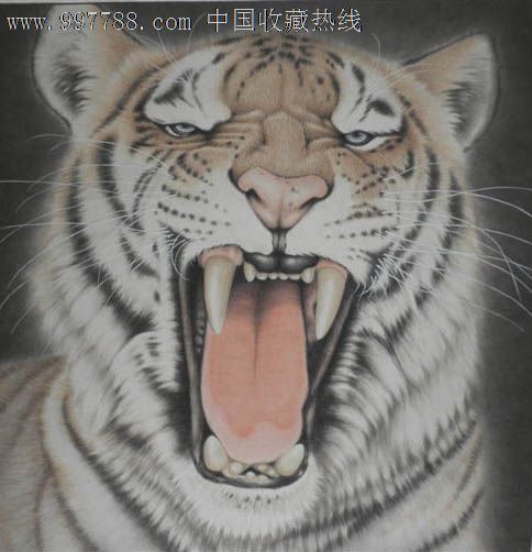 中国画虎第一村◆老虎头◆_花鸟国画原作_苗谷草堂