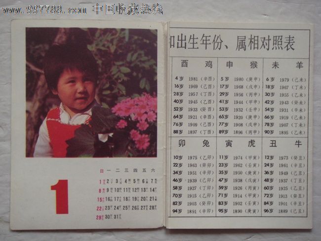1984年年历(折叠式)图片