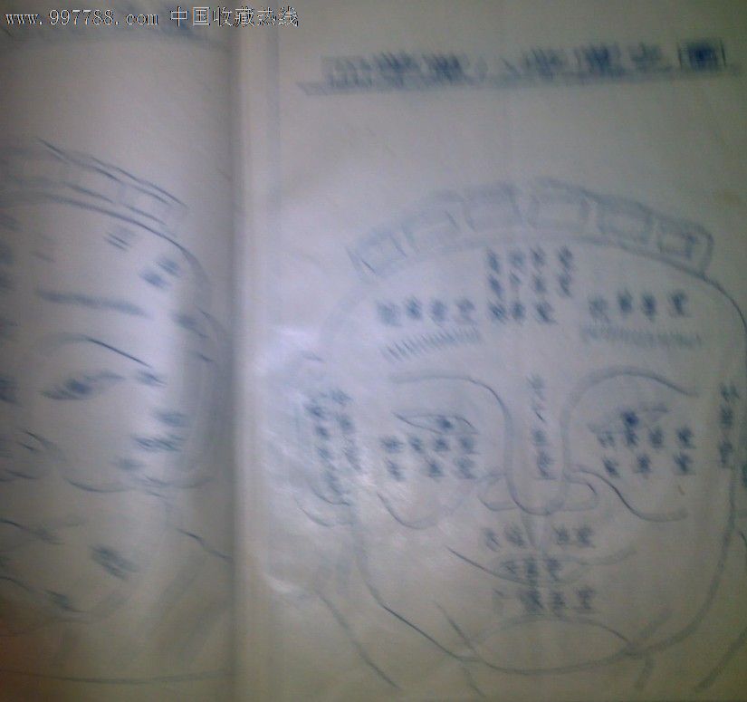 麻衣相全书[陆位崇校编,唐鲤耀增释]李剑峰复印