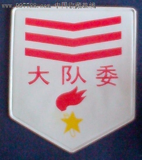 少先队大队委标志,老袖章/臂章,臂章,学校,九十年代(20世纪),塑料