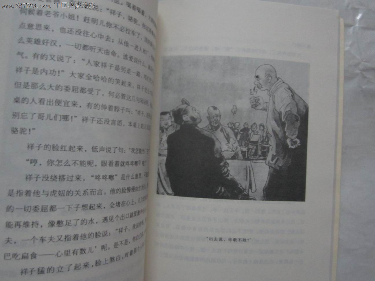 骆驼祥子(插图本)