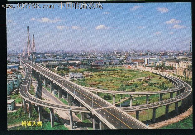 上海杨浦大桥全景