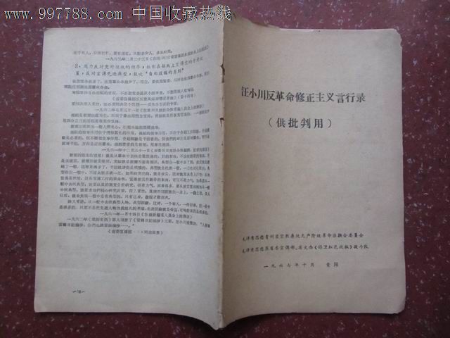 汪小川反革命修正主义言行录(国判用)【带一卫生巾漫画图片图片