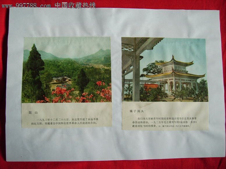 韶山,橘子洲头-价格:3元-se16291948-年画缩样