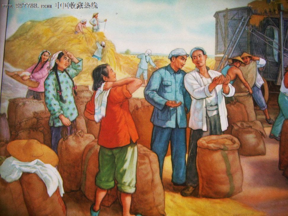 农业生产合作社小麦丰收_年画\/宣传画_新新红