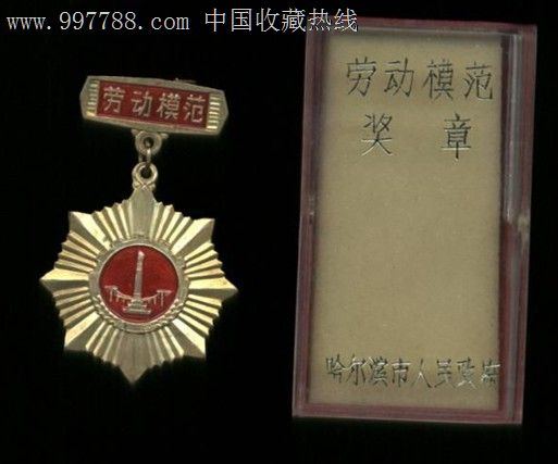 哈尔滨市人民政府劳动模范奖章