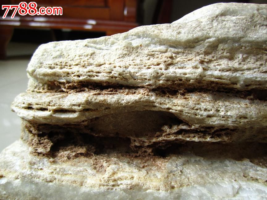 奇石---2面形象--千年神龟--一帆风水_其他奇石