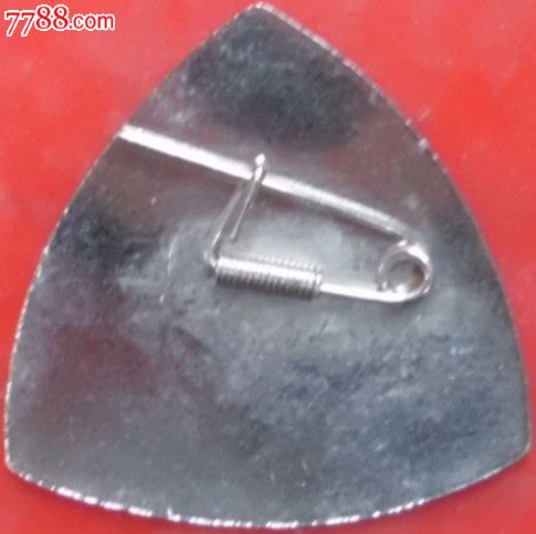 雨花台烈士陵园留念_旅游纪念章_九木歌【77