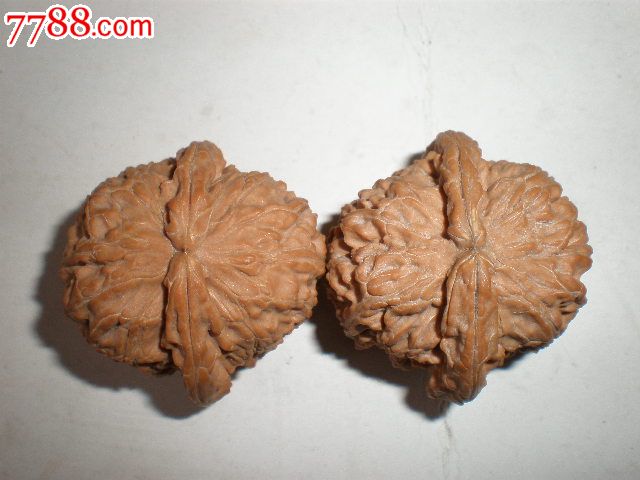 老树.42矮桩白狮子头-核桃雕--se17023023-零售-中国收藏热线