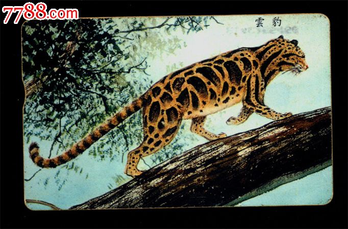 台湾IC卡-167、IC9032云豹1全_电话IC卡_瑞邮