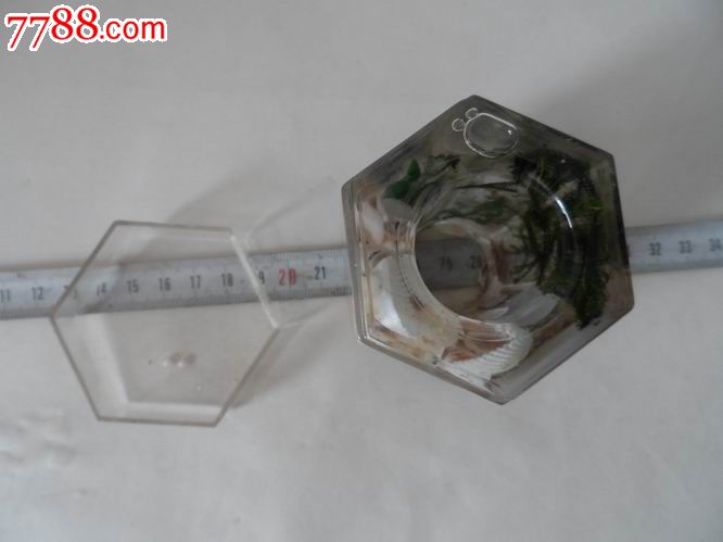 TIENS天狮牌.牙签罐。_其他收藏品_东北晓飞