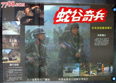蛇谷奇兵《自卫反击战》_电影海报_电影海报