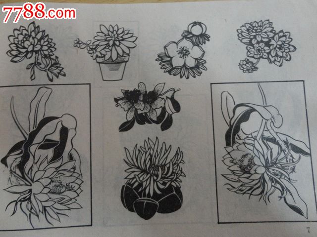 实用花卉图案(以花卉设计为主的黑白图案集,在写生的基础上进行了变化