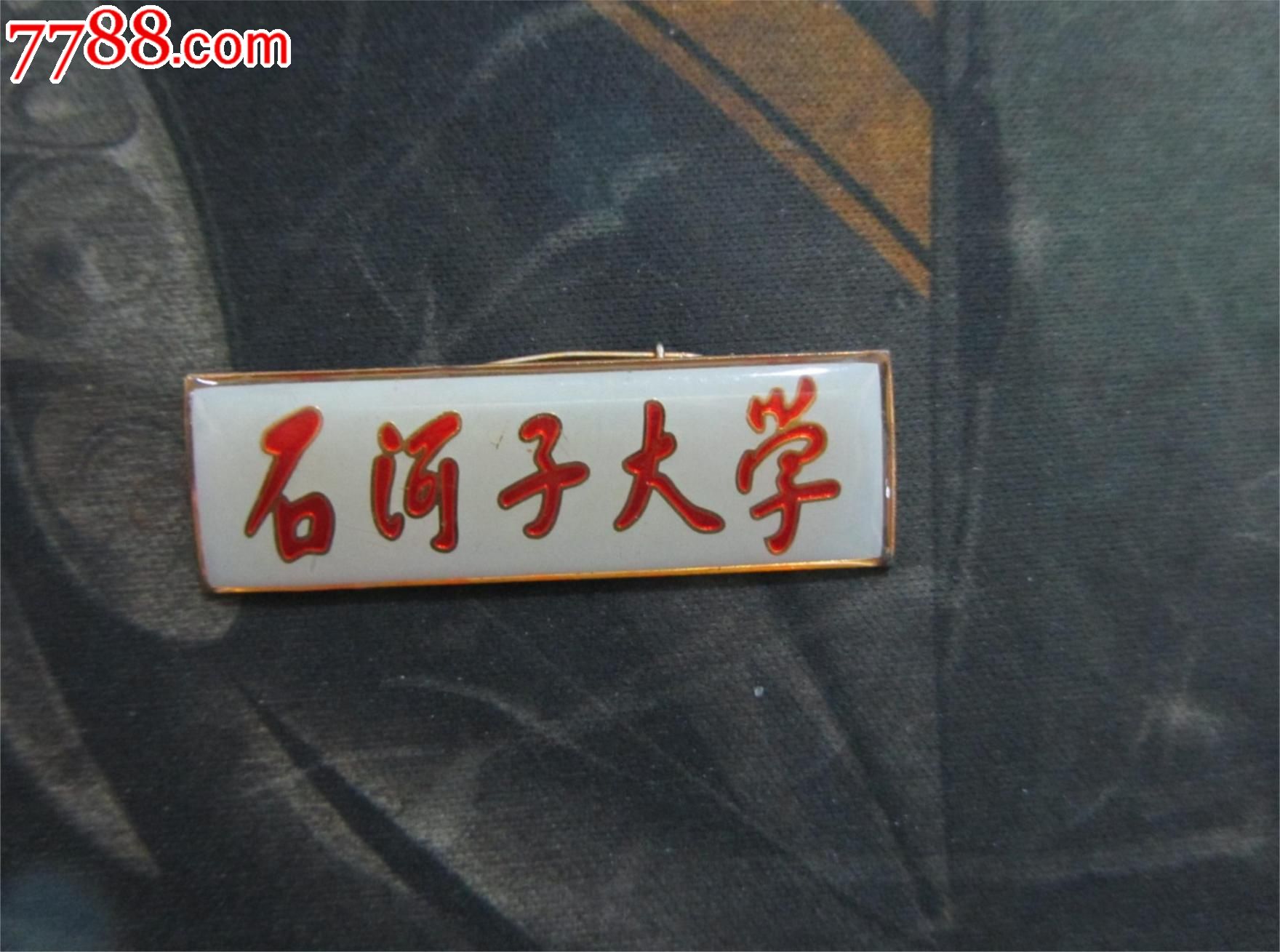 新疆石河子大学校徽