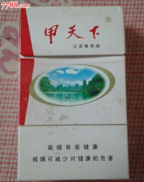 甲天下(白)----戒烟