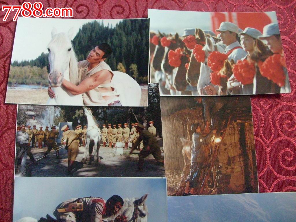 白马飞飞(彩色剧照一套)