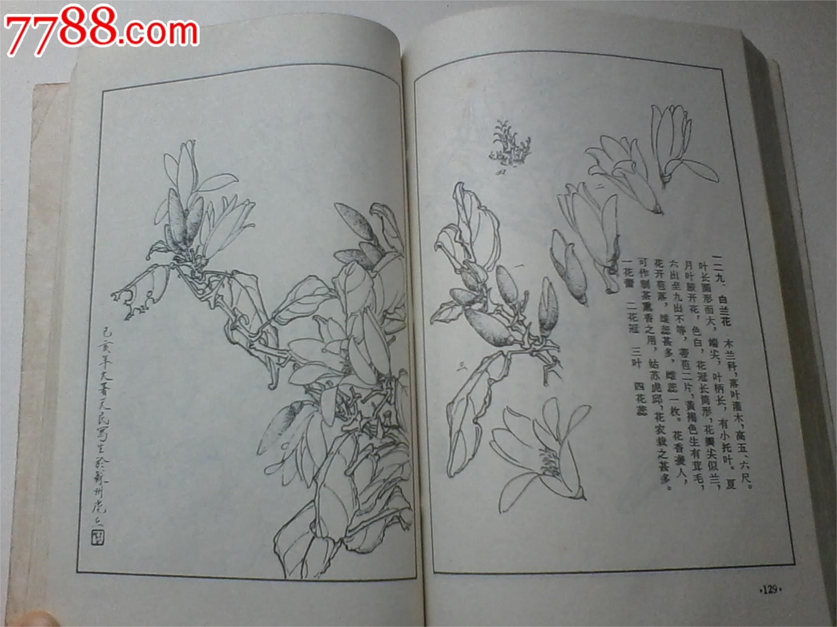 花卉画谱-素描\/速写画册--se17531156-零售-中国收藏热线