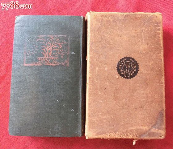 大正10年日本书籍《新文化事?》,语言文字类-
