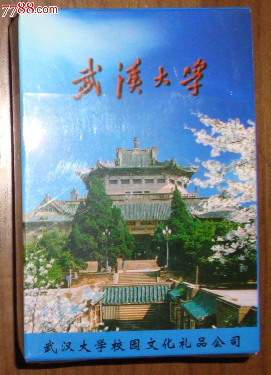 武汉大学2008—2009学年第二学期《高等数学a2》考试试题