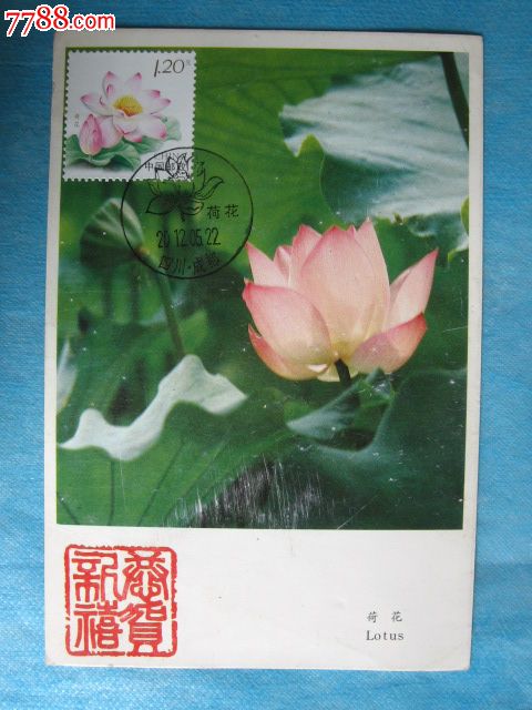 荷花_价格元_第1张_中国收藏热线