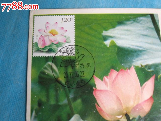 荷花_价格元_第2张_中国收藏热线