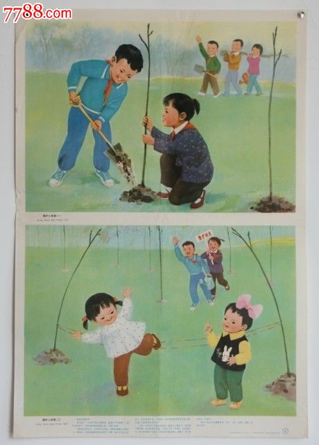 爱护小树苗(二)