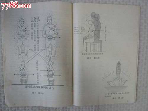 严新.功法.故事(童子长寿九步功,九心轮内功图解)