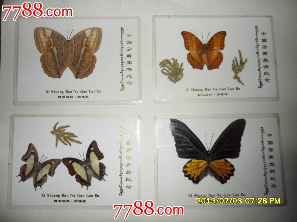 云南蝴蝶标本(旅游纪念)7种合售