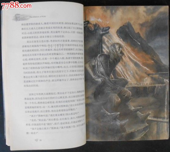 【美】魔戒前世<em>传奇</em>-胡林的<em>儿女</em>_小说/传记_九