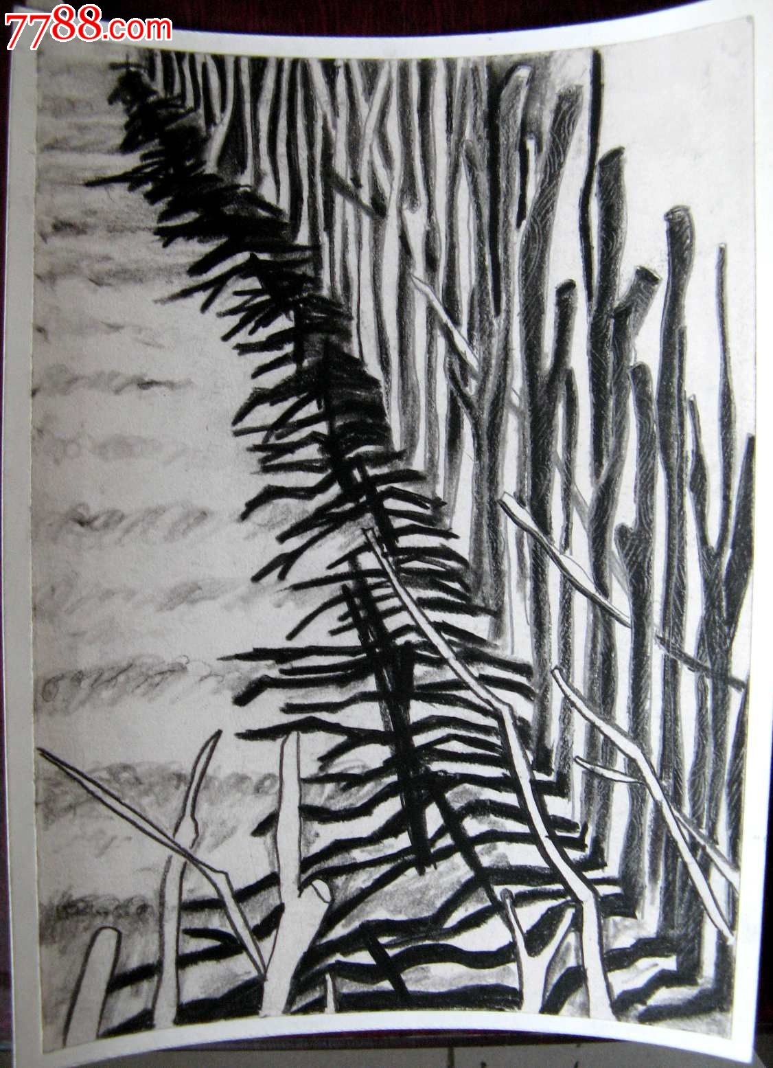 素描风景画:篱笆
