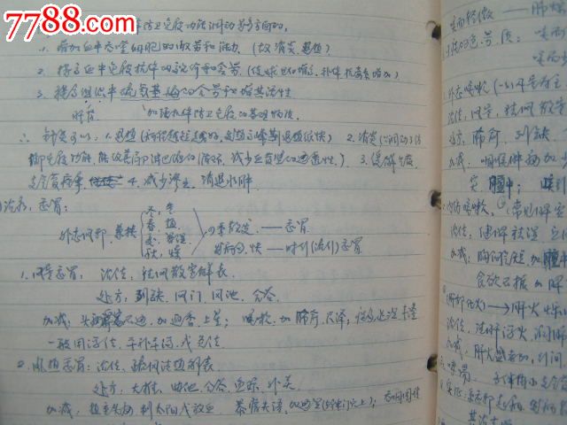 【针灸】手写笔记
