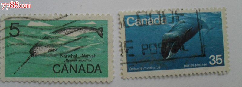 加拿大邮票--北极露脊鲸\/独角鲸-价格:8元-se19