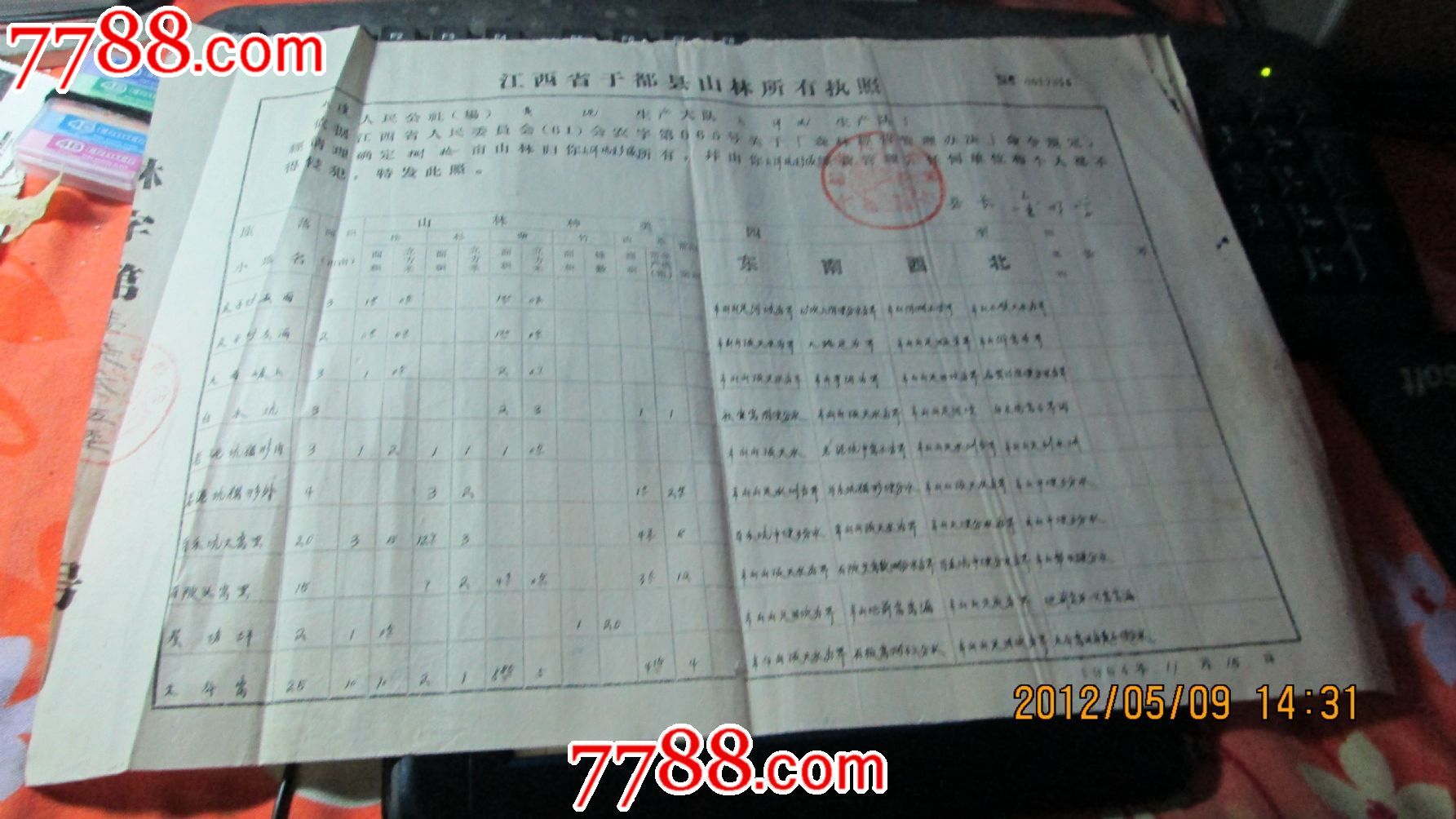 江西省于都县山林所有执照(1964年)