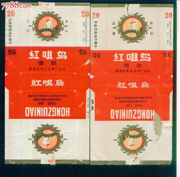红嘴鸟5种不同