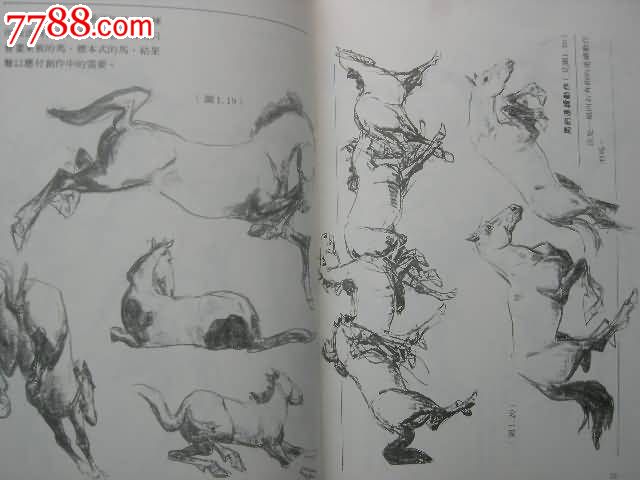 怎样画马.牛--中国画技法入门丛书5-se197653