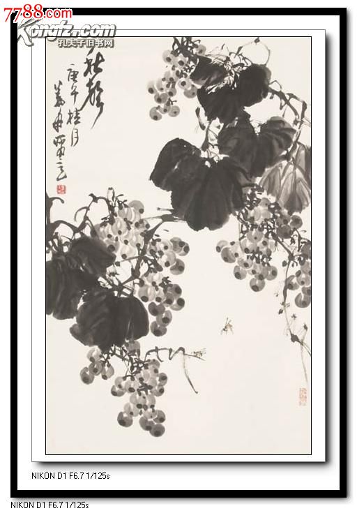【羽桐轩】名家字画书画中国画花鸟画中国美协会员姜舟