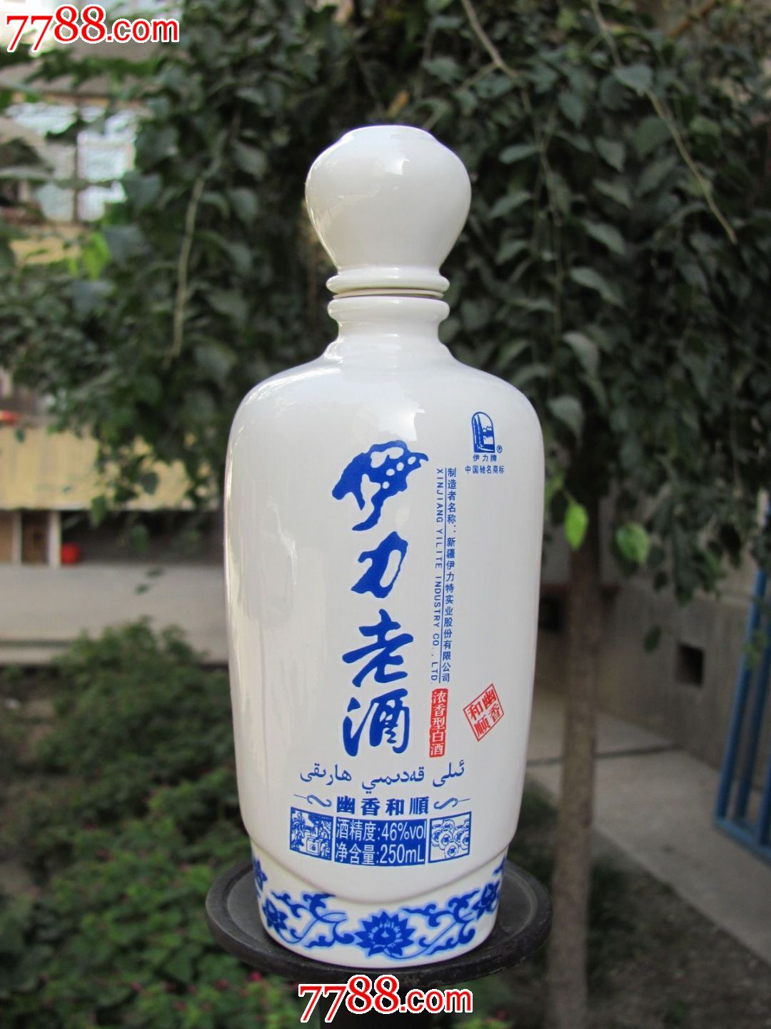 新疆77伊力特酒:伊力老酒250ml