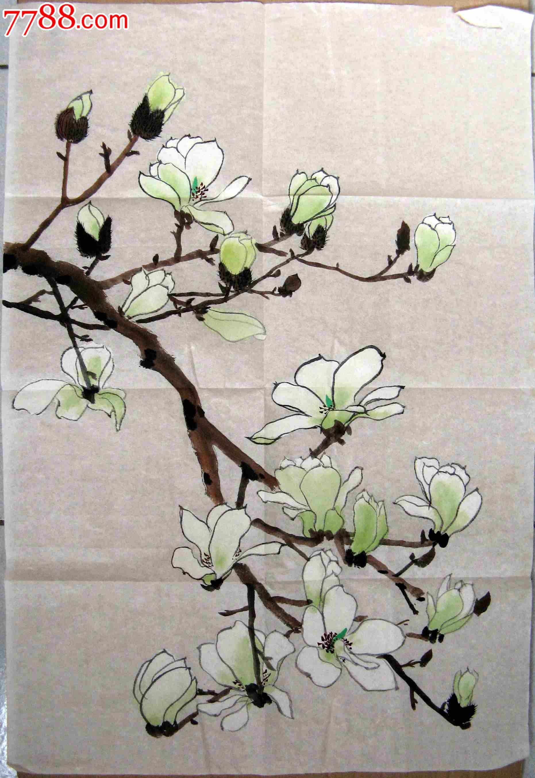 清爽雅致的四尺开三条幅无款白玉兰画,花鸟国画原作