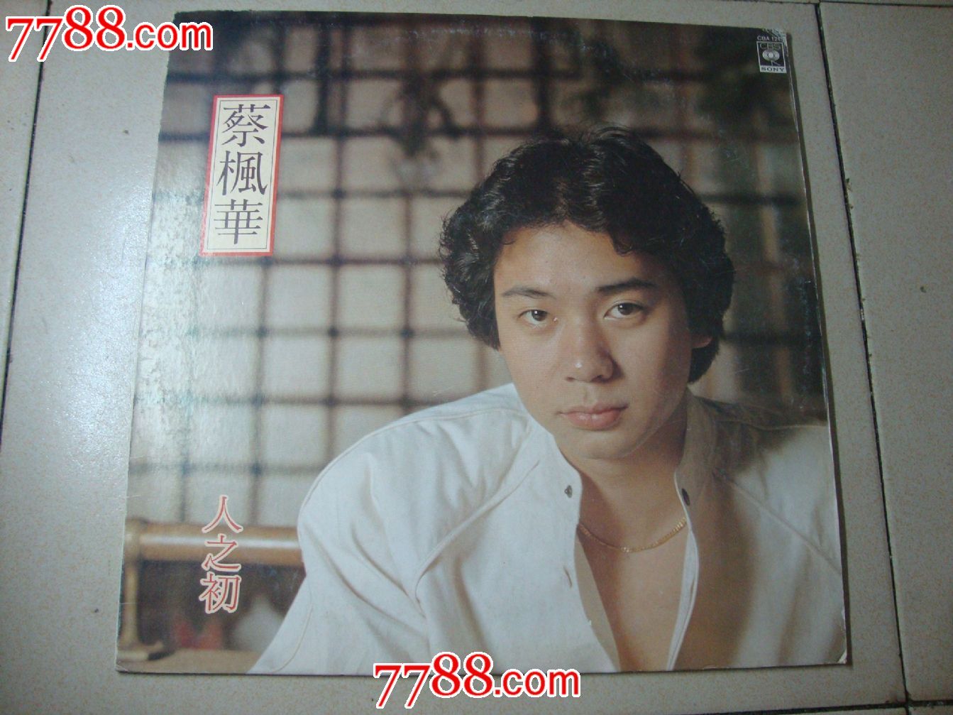 蔡枫华\/人之初,老唱片\/胶片,黑胶密纹唱片,八十