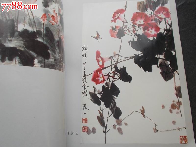 王天一花鸟画集
