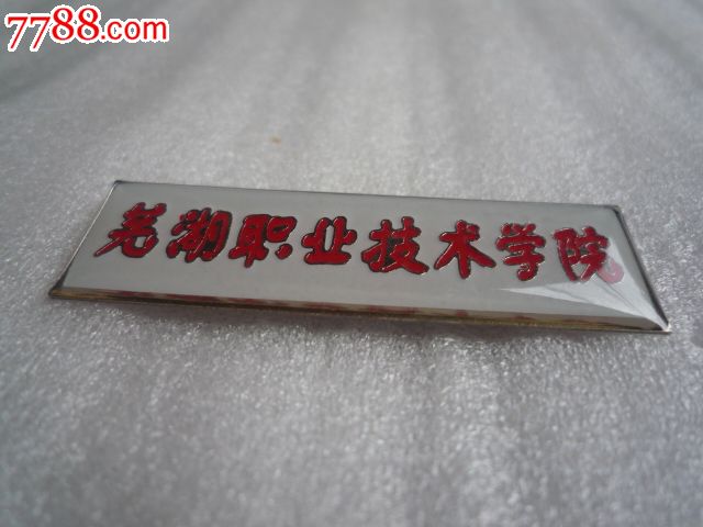 芜湖职业技术学院