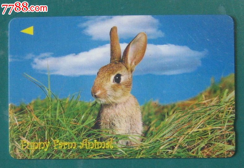 新加坡电话卡-兔子-价格:3元-se20251503-早期