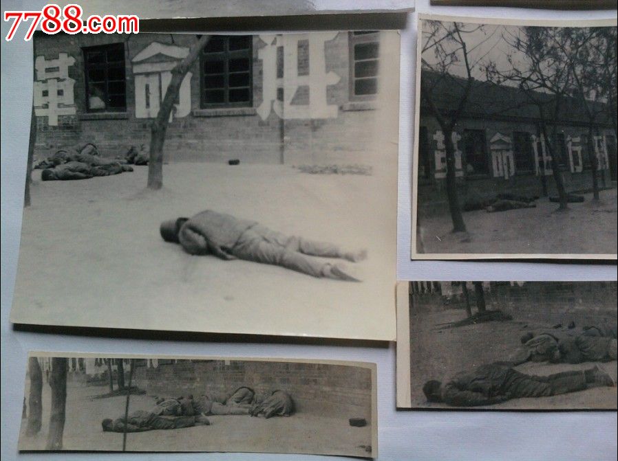 文革武斗后经典照片(8张合售包真),老照片-- 史