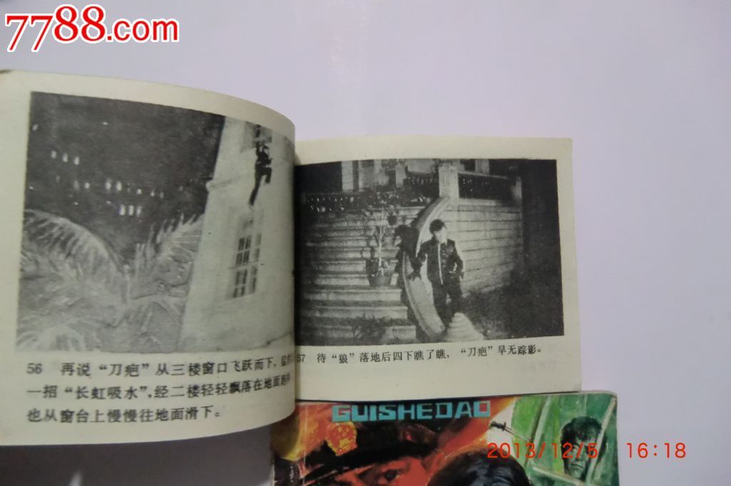 龟蛇盗