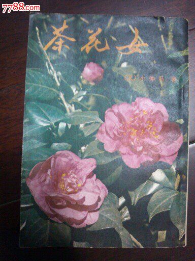 <em>茶花女</em>。法国<em>大仲马</em>著(繁体竖版)_小说/传记_柱