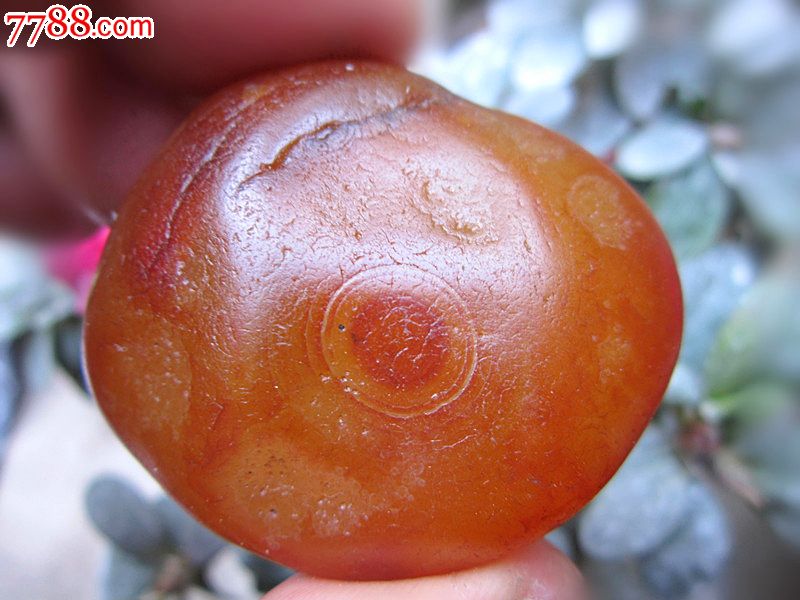 马达加斯加纯天然A级水冲红玛瑙原石玛瑙奇石