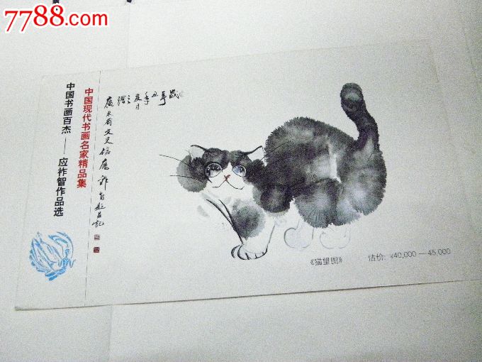动物猫明信片