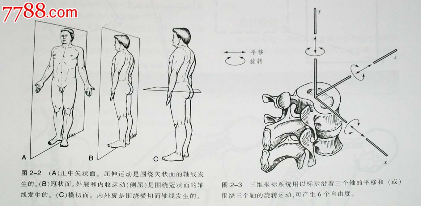 全新正品美式整脊技术原理与操作第3版主译:王